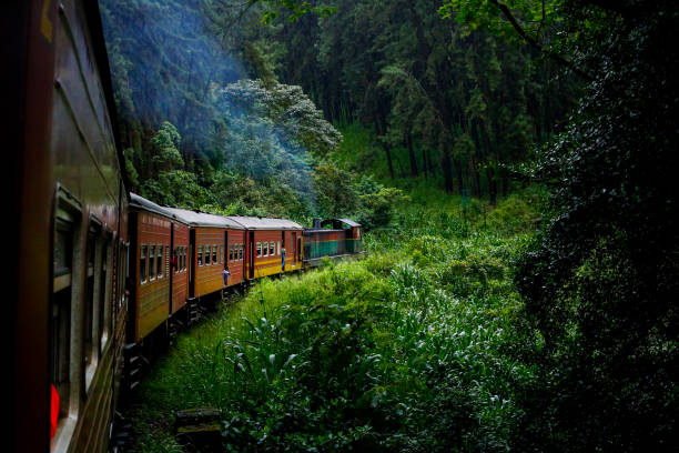 A beautiful landscape of Sri Lanka Sri Lanka's Colombo Fort main train station to Badulla station travels through dense forest. 7 Scenic Train Rides You Must Try stock pictures, royalty-free photos & images