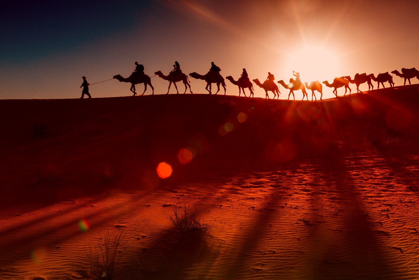 C:\Users\Mafia\Downloads\arab-people-with-camel-caravan.jpg