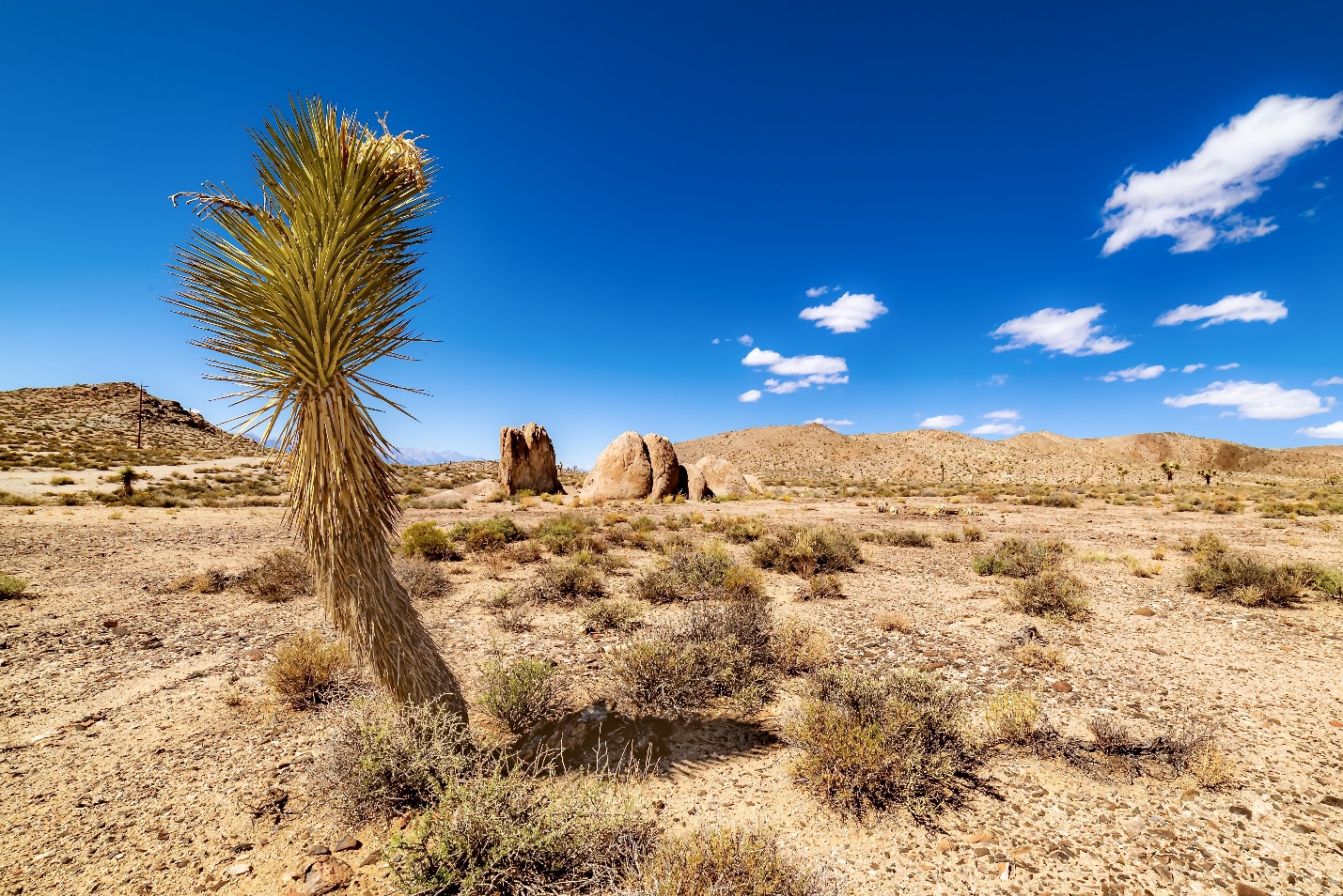 C:\Users\Mafia\Downloads\open-desert-field-with-sandy-hills-cloudy-blue-sky.jpg