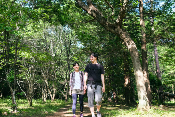 Couple hiking in forest Couple hiking in natural parkland Enjoy flexible dates travel stock pictures, royalty-free photos & images