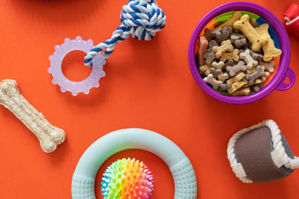 Frame with dogs rubber and textile toys, snacks, bones on orange background. Close up. Accessories for dogs Frame with dogs rubber and textile toys, snacks, bones on orange background. Close up. Accessories for dogs Pet toys and comfort items stock pictures, royalty-free photos & images