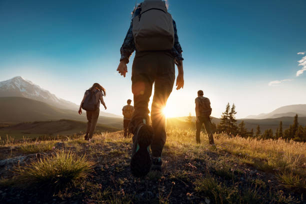 Group of sporty people walks in mountains at sunset with backpacks Group of sporty people walks in mountains at sunset with backpacks. Altai mountains, Siberia, Russia. Travel in groups stock pictures, royalty-free photos & images
