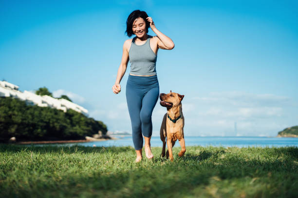 Happy young Asian woman and her pet dog running by the beach against clear blue sky, playing and enjoying time together in the nature outdoors. Living with a dog. Love and bonding with pet Happy young Asian woman and her pet dog running by the beach against clear blue sky, playing and enjoying time together in the nature outdoors. Living with a dog. Love and bonding with pet Pets in public places stock pictures, royalty-free photos & images