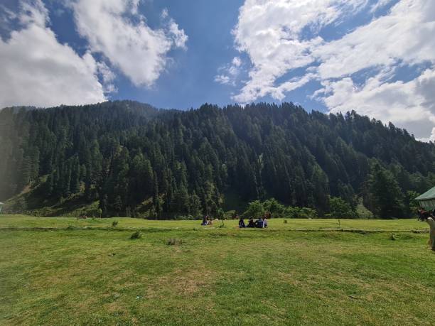 Landscape scenic of hills forests in beautiful kashmir Landscape scenic of hills forests in beautiful kashmir. Dal lake, pahalgam, Gulmarg, Baramulla, kupwara add beauty to Kashmir. Naran Kaghan's family trip stock pictures, royalty-free photos & images