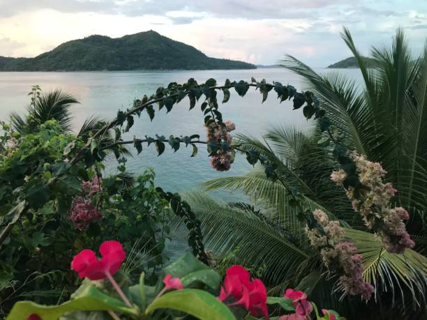Seychelles - praslin - panorama on Saint Anne's bay Seychelles- praslin- panorama on baie sainte Anne An island stay is recommended stock pictures, royalty-free photos & images